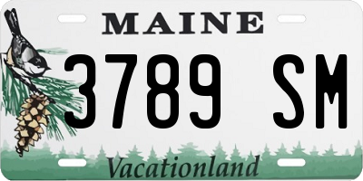 ME license plate 3789SM