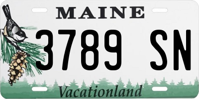 ME license plate 3789SN