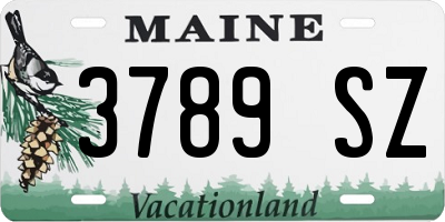 ME license plate 3789SZ