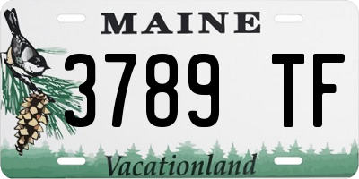 ME license plate 3789TF