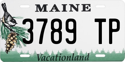 ME license plate 3789TP