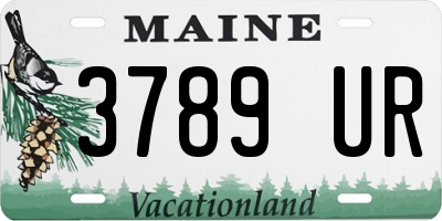 ME license plate 3789UR