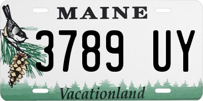 ME license plate 3789UY