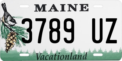 ME license plate 3789UZ