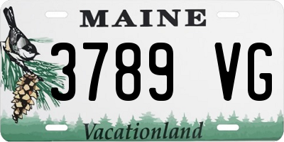 ME license plate 3789VG