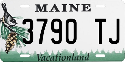 ME license plate 3790TJ