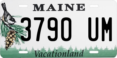 ME license plate 3790UM
