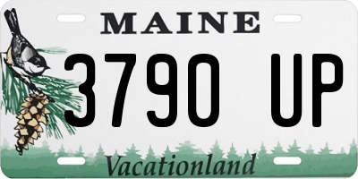 ME license plate 3790UP