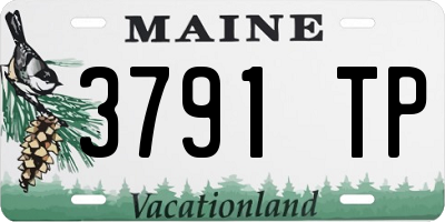 ME license plate 3791TP