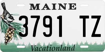 ME license plate 3791TZ