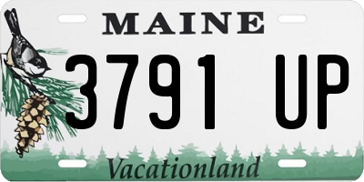 ME license plate 3791UP