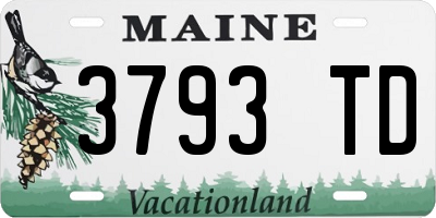 ME license plate 3793TD