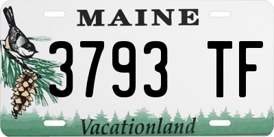 ME license plate 3793TF