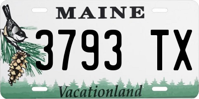 ME license plate 3793TX