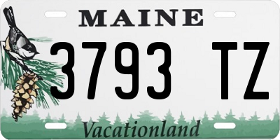ME license plate 3793TZ