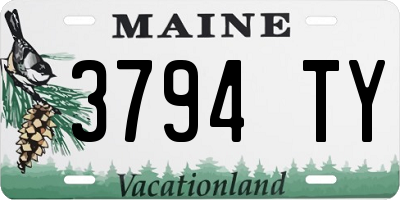 ME license plate 3794TY