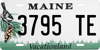ME license plate 3795TE