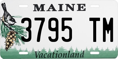 ME license plate 3795TM