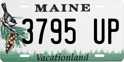 ME license plate 3795UP