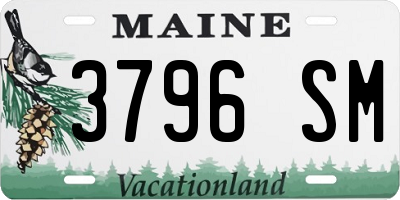 ME license plate 3796SM