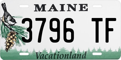 ME license plate 3796TF