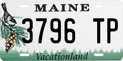 ME license plate 3796TP