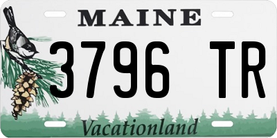 ME license plate 3796TR