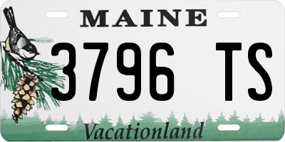 ME license plate 3796TS