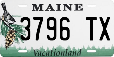 ME license plate 3796TX