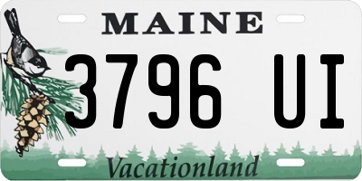 ME license plate 3796UI