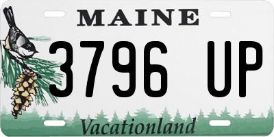 ME license plate 3796UP
