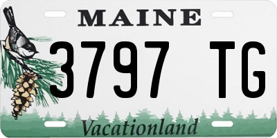 ME license plate 3797TG