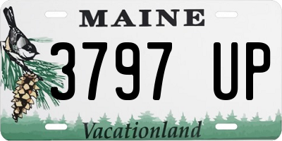ME license plate 3797UP