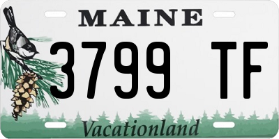 ME license plate 3799TF