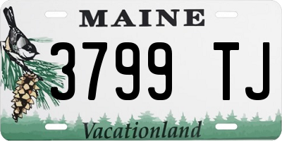 ME license plate 3799TJ