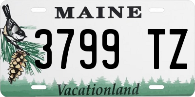 ME license plate 3799TZ
