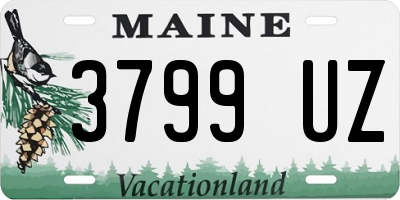 ME license plate 3799UZ