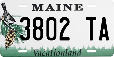 ME license plate 3802TA
