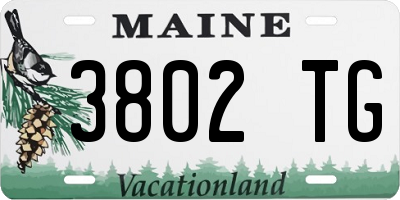 ME license plate 3802TG
