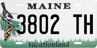 ME license plate 3802TH