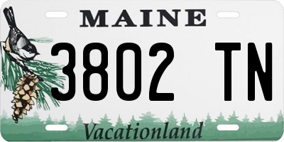 ME license plate 3802TN
