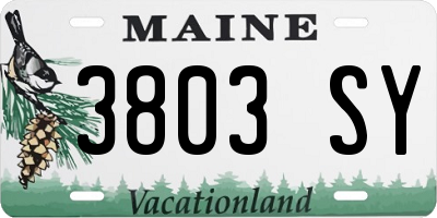 ME license plate 3803SY