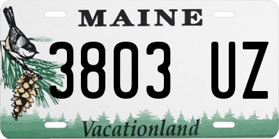 ME license plate 3803UZ