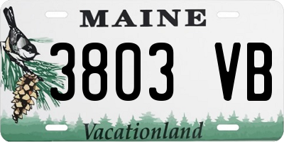 ME license plate 3803VB