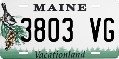 ME license plate 3803VG