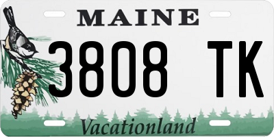 ME license plate 3808TK