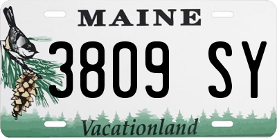 ME license plate 3809SY