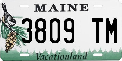 ME license plate 3809TM