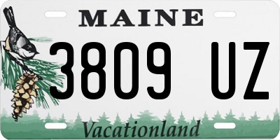 ME license plate 3809UZ