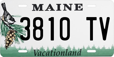 ME license plate 3810TV